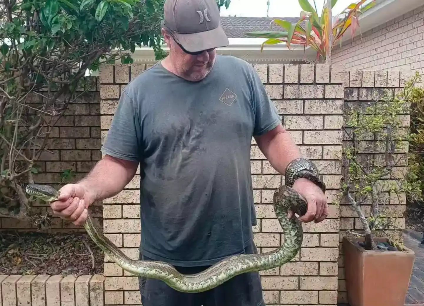 Ben had to wrestle the python before it let go of his son.