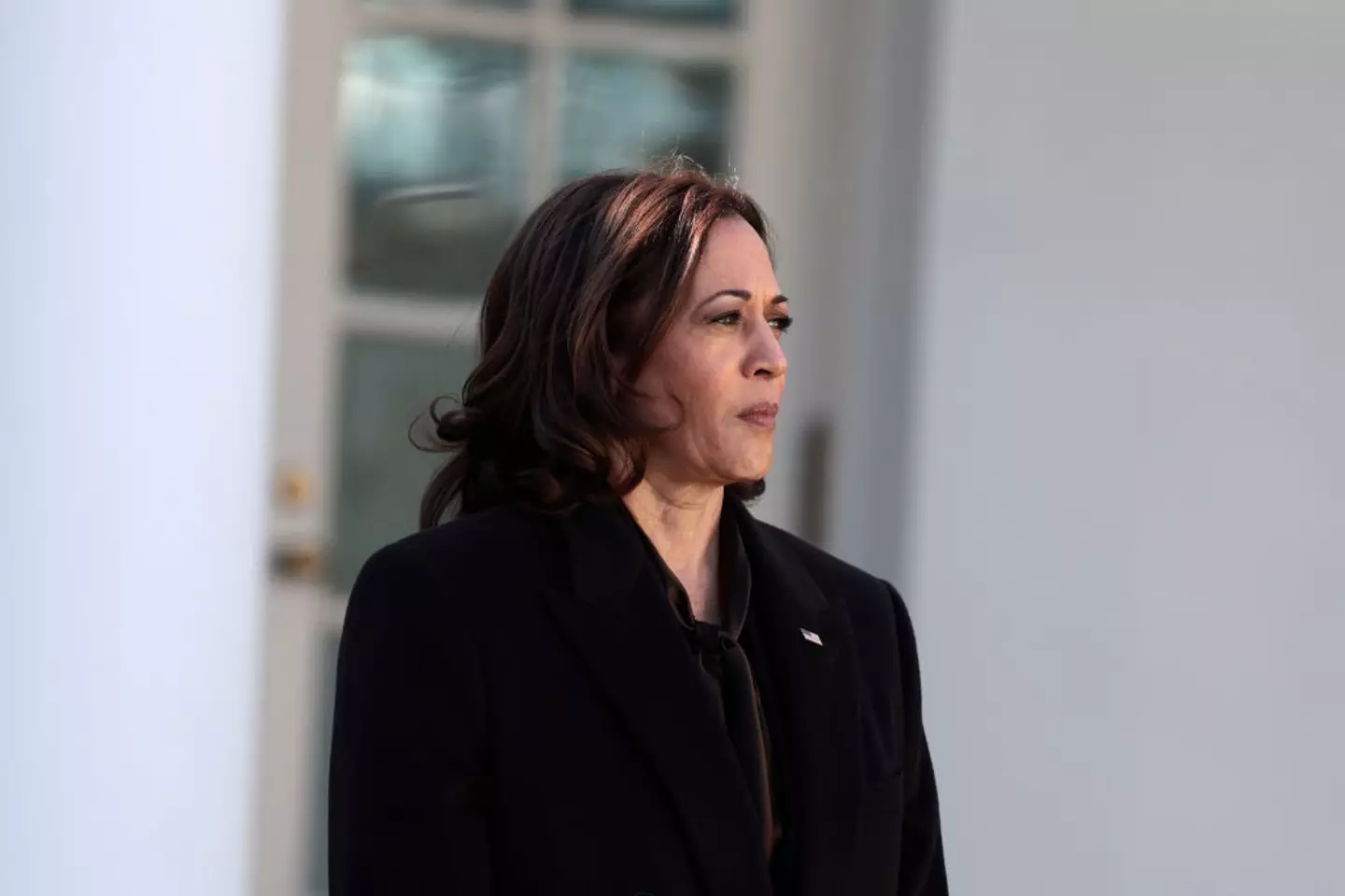 Vice-President Kamala Harris will not be the 47th President of the United States - nor will she be the first elected female president (Anna Moneymaker/Getty Images)