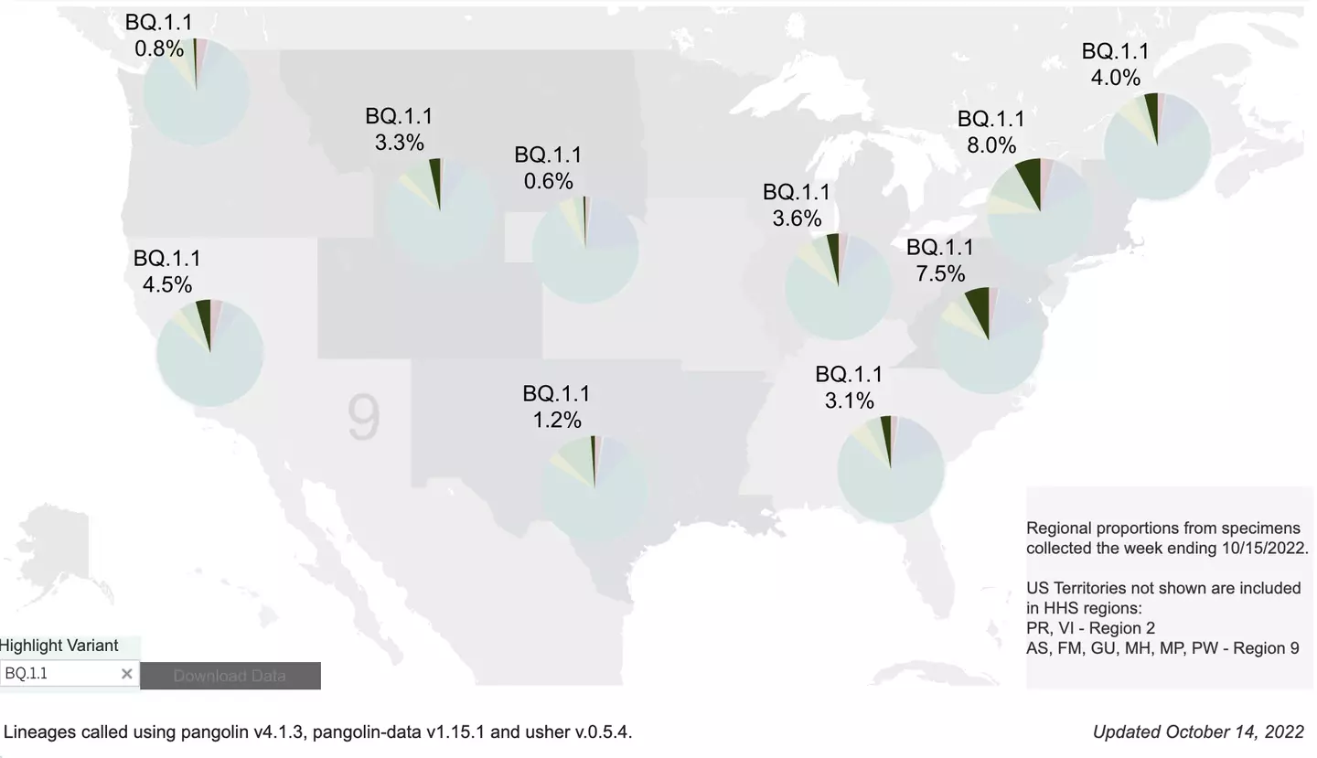 BQ.1 and BQ.1.1 are variants of the Omicron strain.
