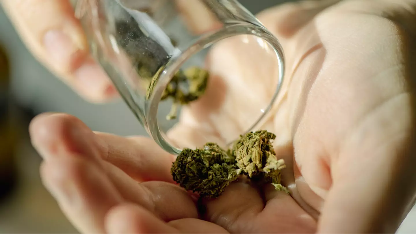 Getty Images/Emilija Manevska