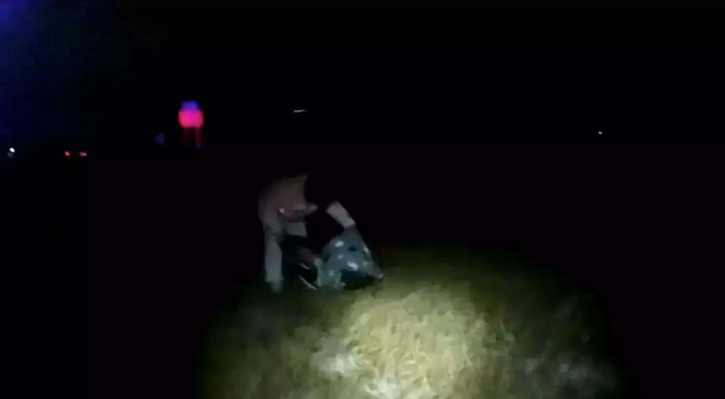 The baby was found roadside (City of Bryan Police Department)