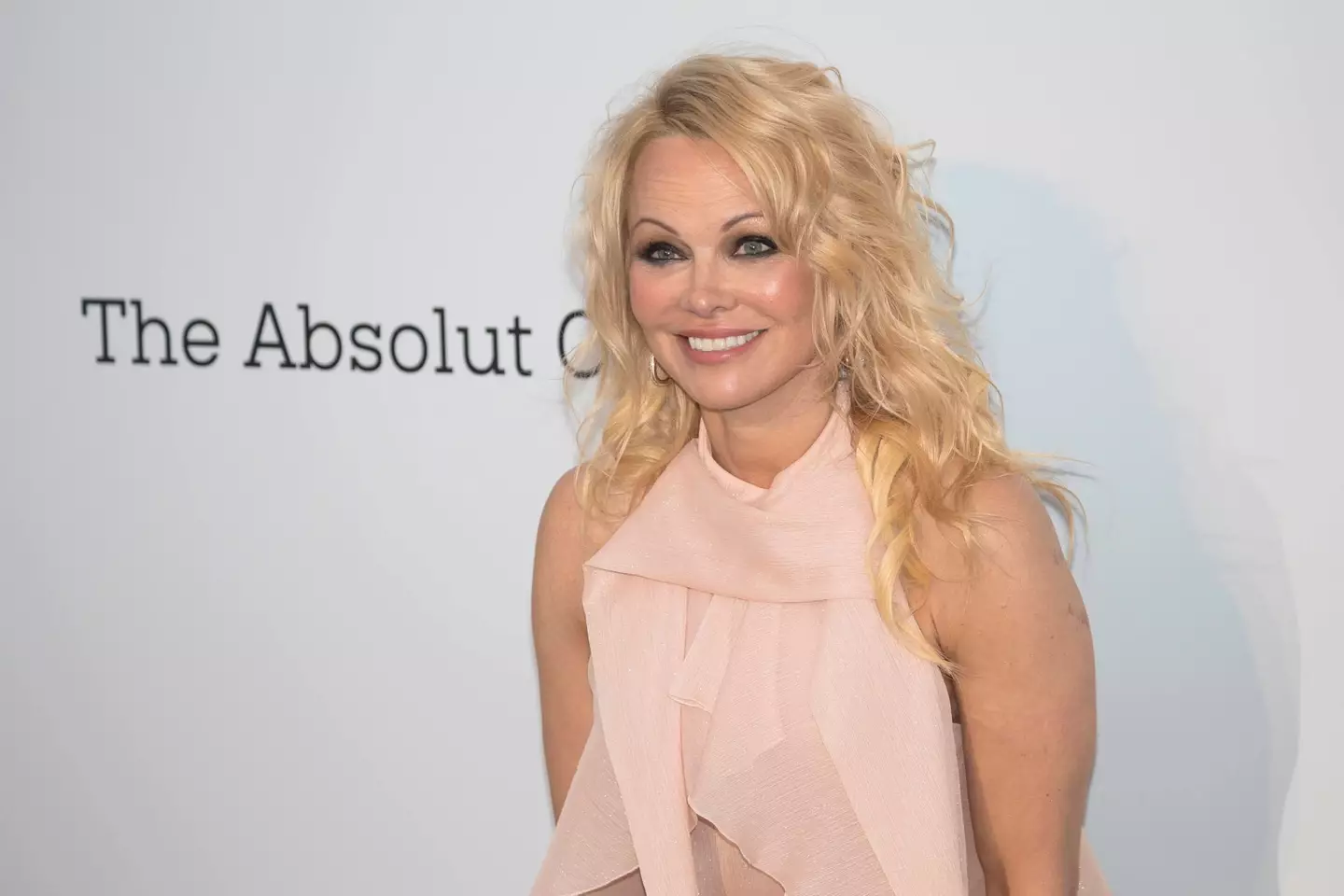 Pamela Anderson has just divorced her fifth husband (Alamy)