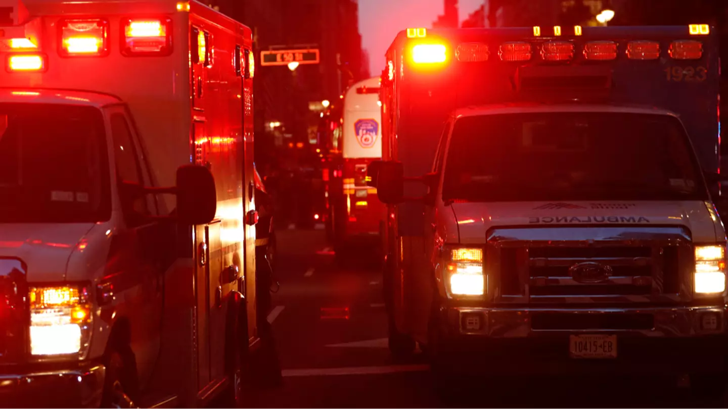 Getty Images/JOHN LAMPARSKI