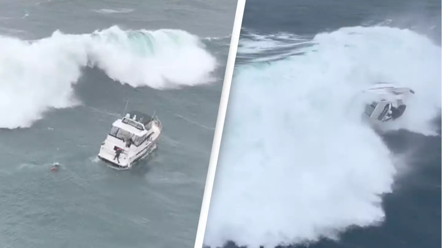 Coastguard swims into submerged yacht wrecked by huge wave to save man's life