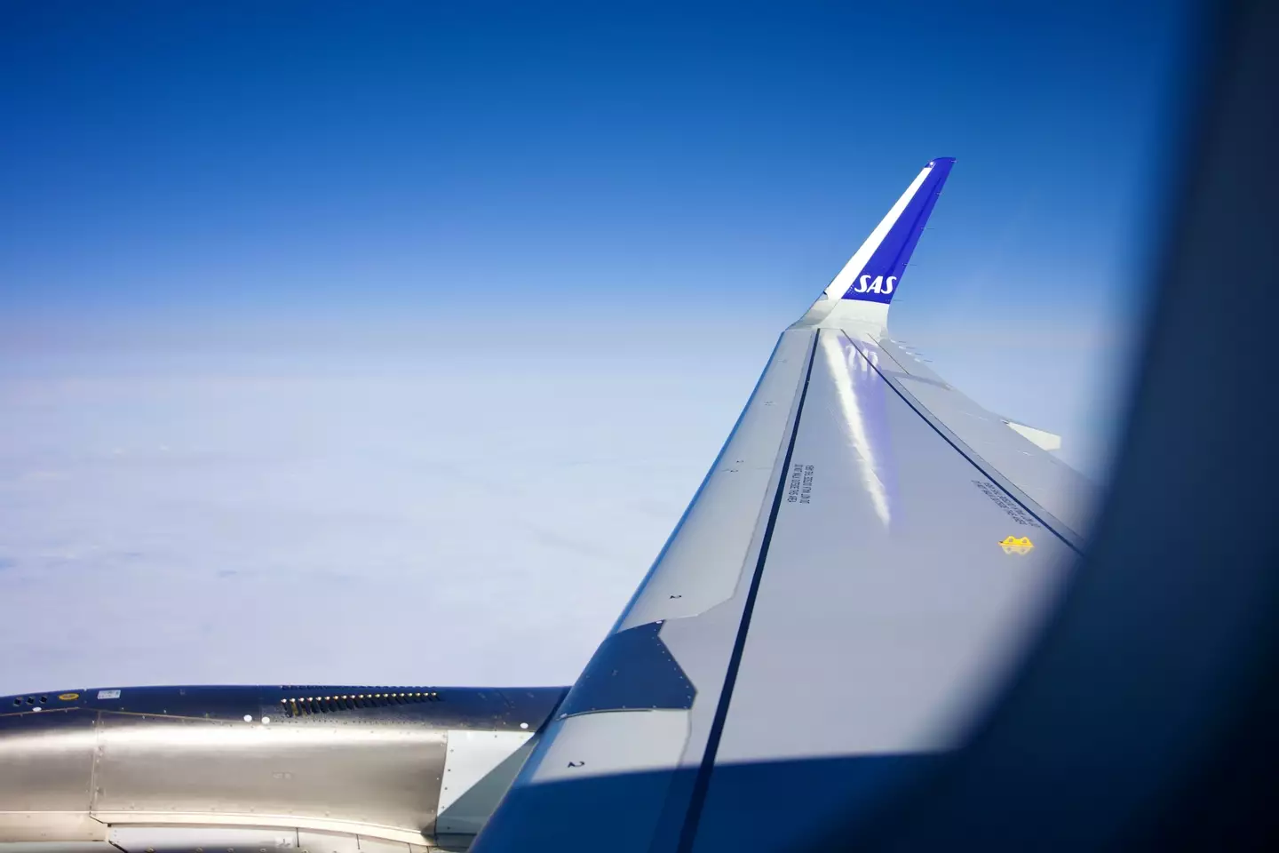 The man claims to have no idea how he ended up on the Scandinavian Airlines flight.