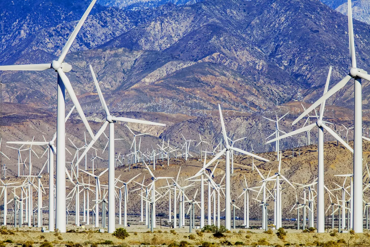 Wind power became the second-largest source of electricity in the US last month.