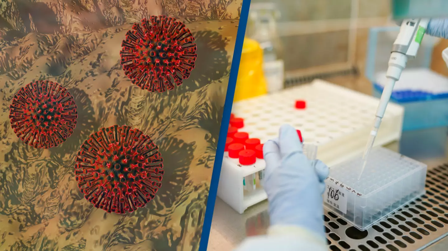 Piotr Malinowski/Alamy/Shutterstock