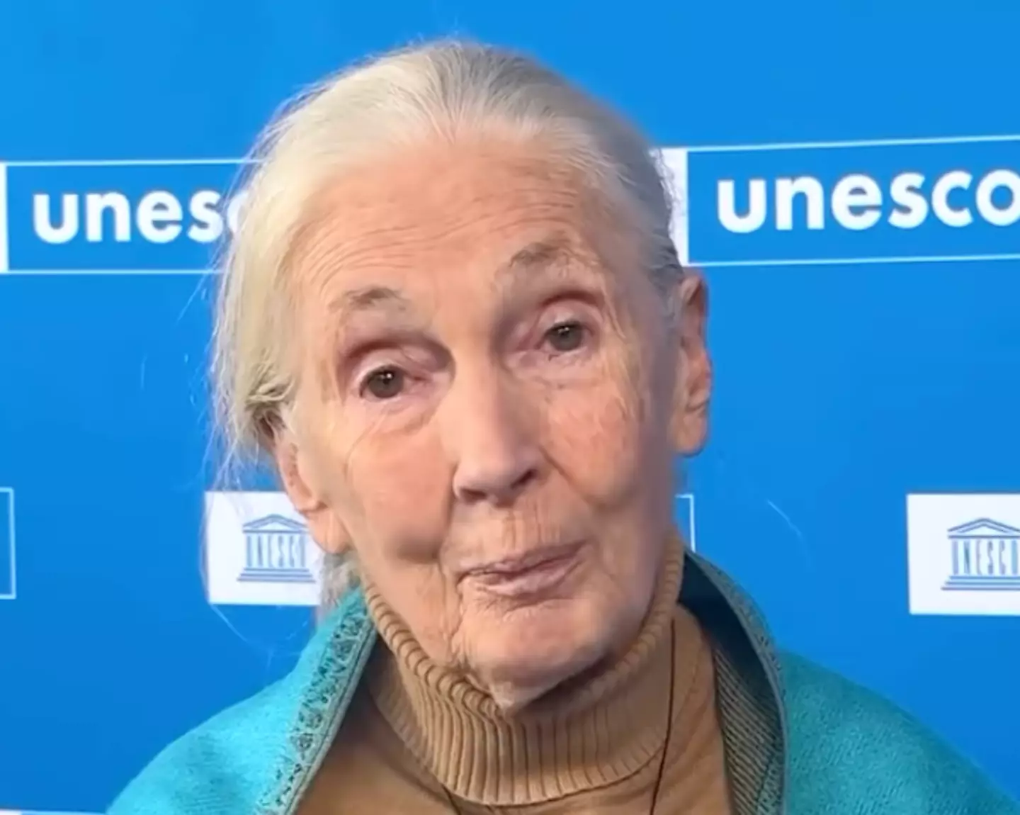 Jane Goodall has urged FIFA to take action (Instagram/@unesco)