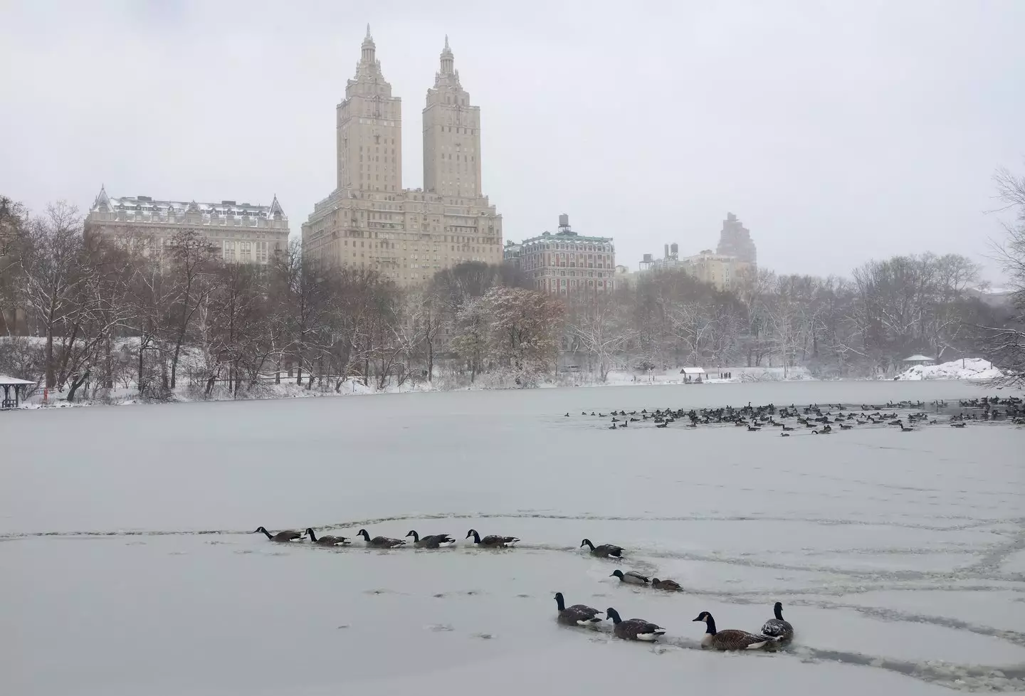 New York is predicted to be hit by snow (Gary Hershorn/Getty Images)