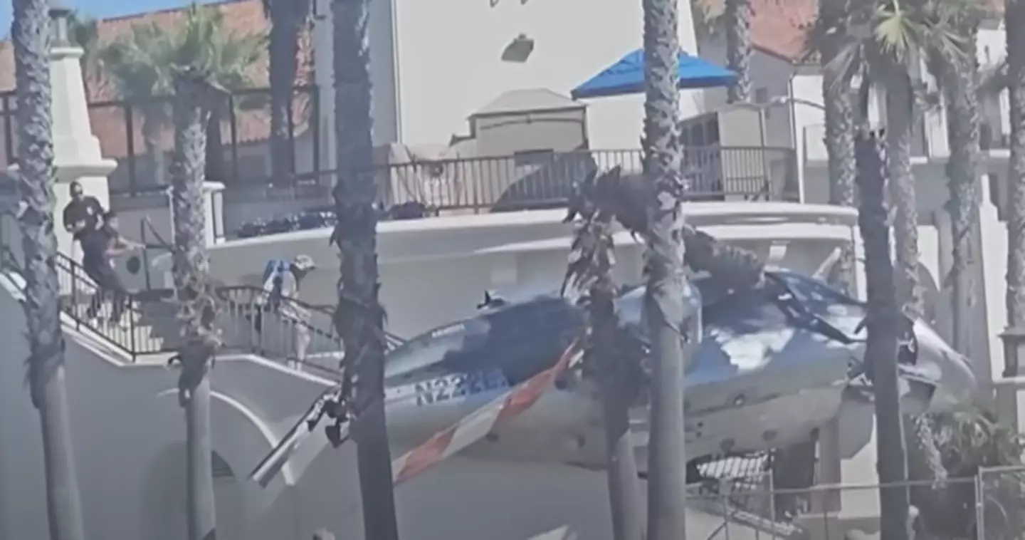 Two palm tree trunks were severed by the blades (YouTube/9NewsAUS)