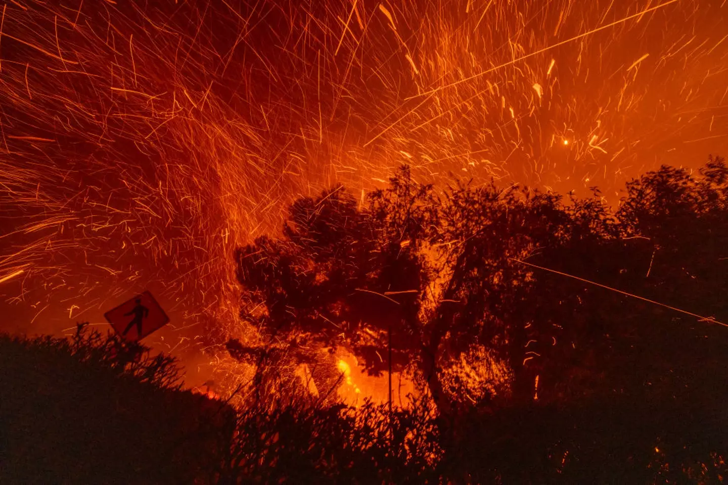 Wildfires continue to rage on in LA (David McNew/Getty Images)