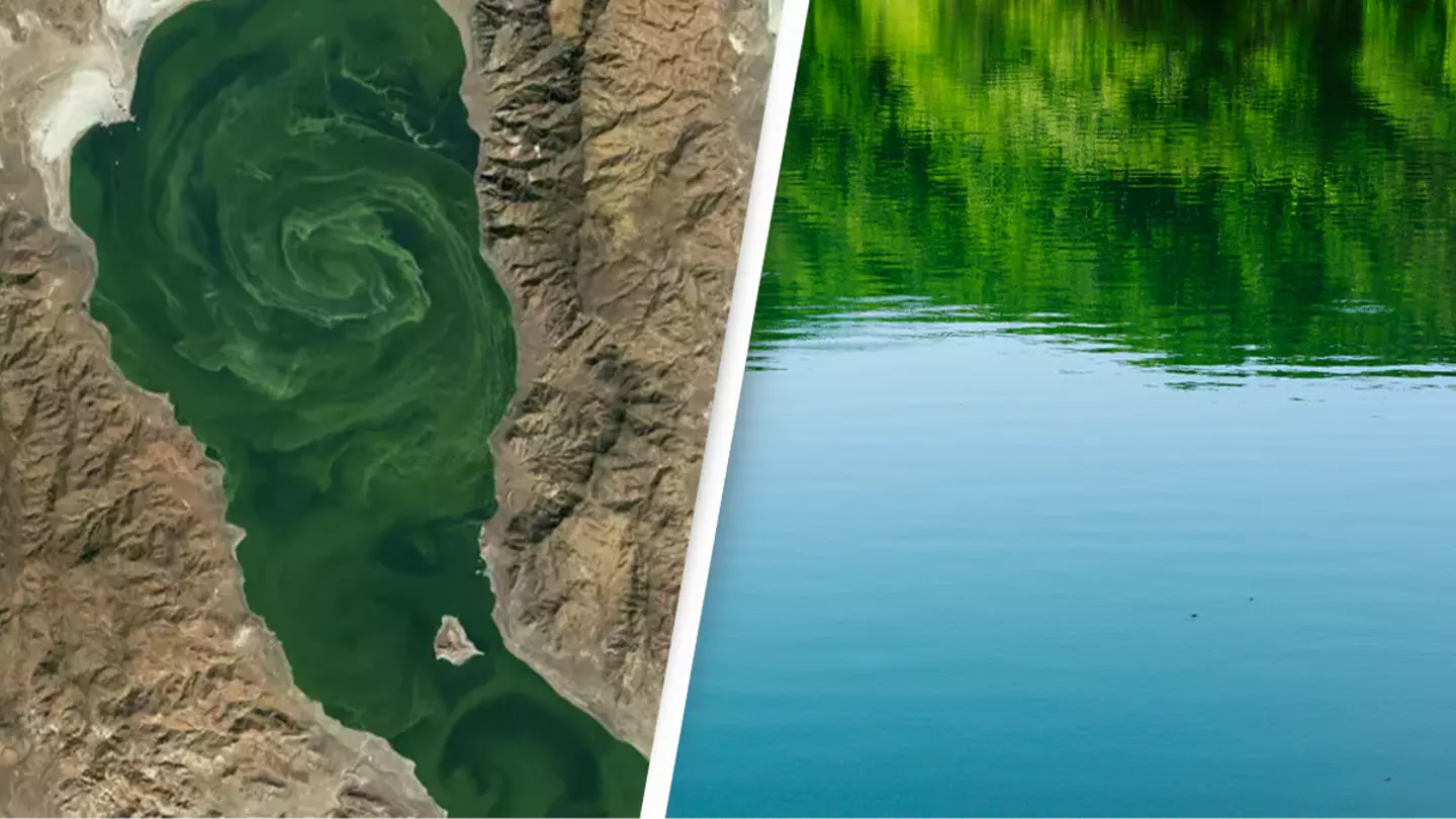Disturbing reason lakes are developing eerie green swirls so intense they can be seen from space