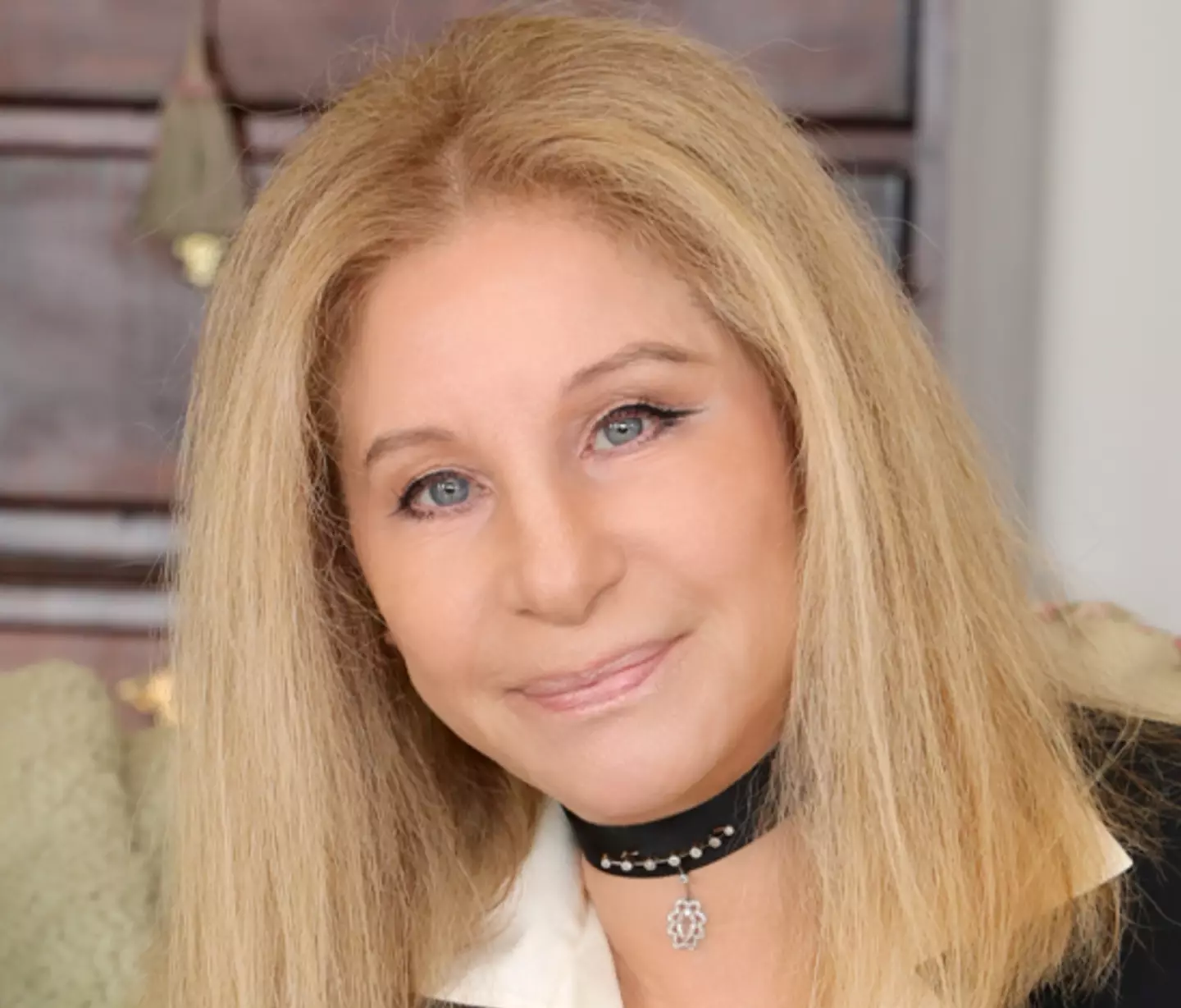 Barbra Streisand came from Brooklyn to become a star.
