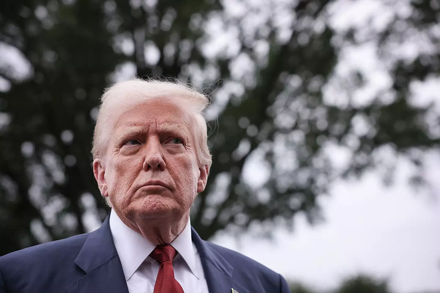 Trump has upped the reward (Win McNamee/Getty Images)