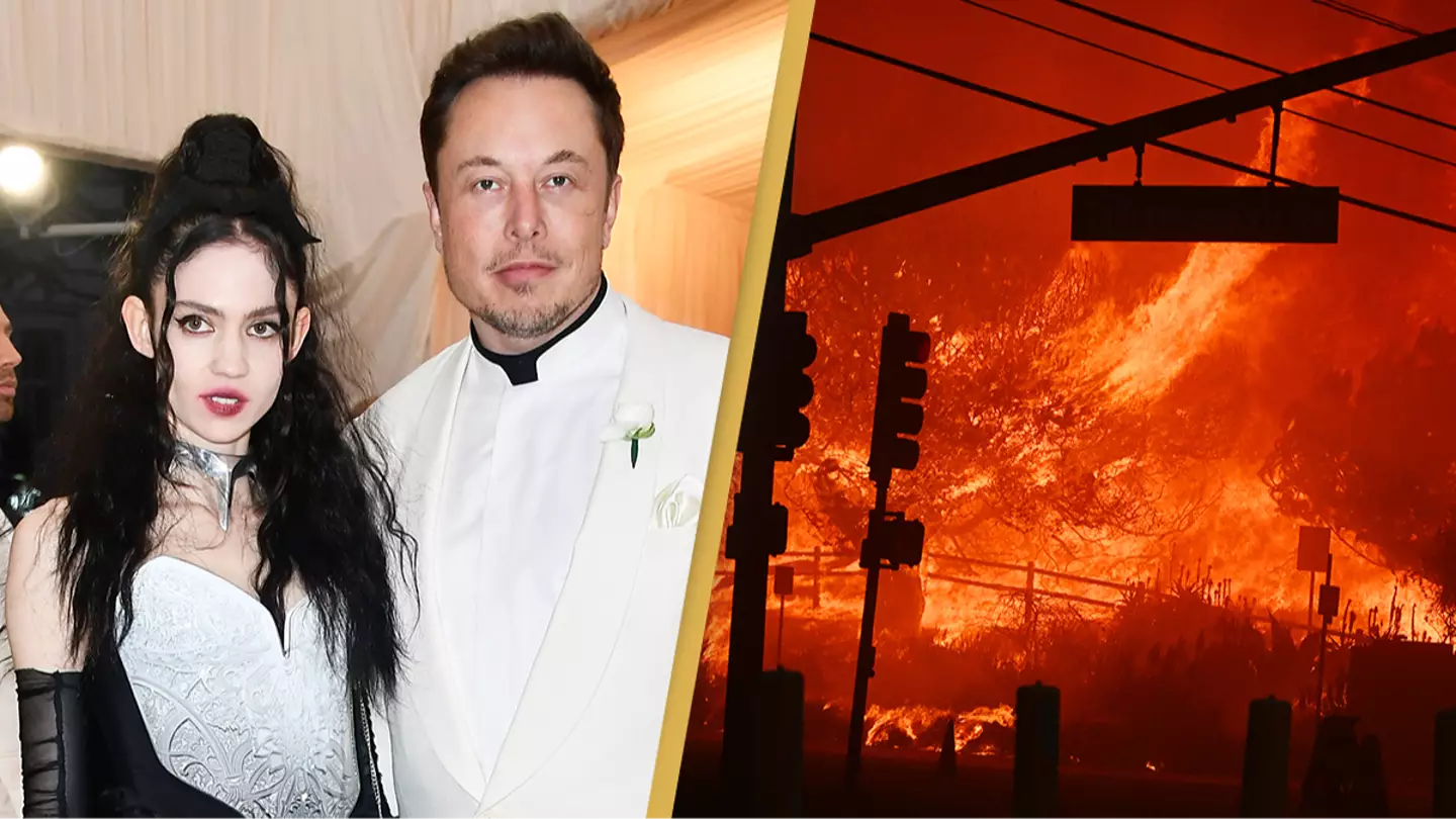 Grimes defends ex Elon Musk in lengthy tweet after he was called an 'evil climate denier' following LA wildfires