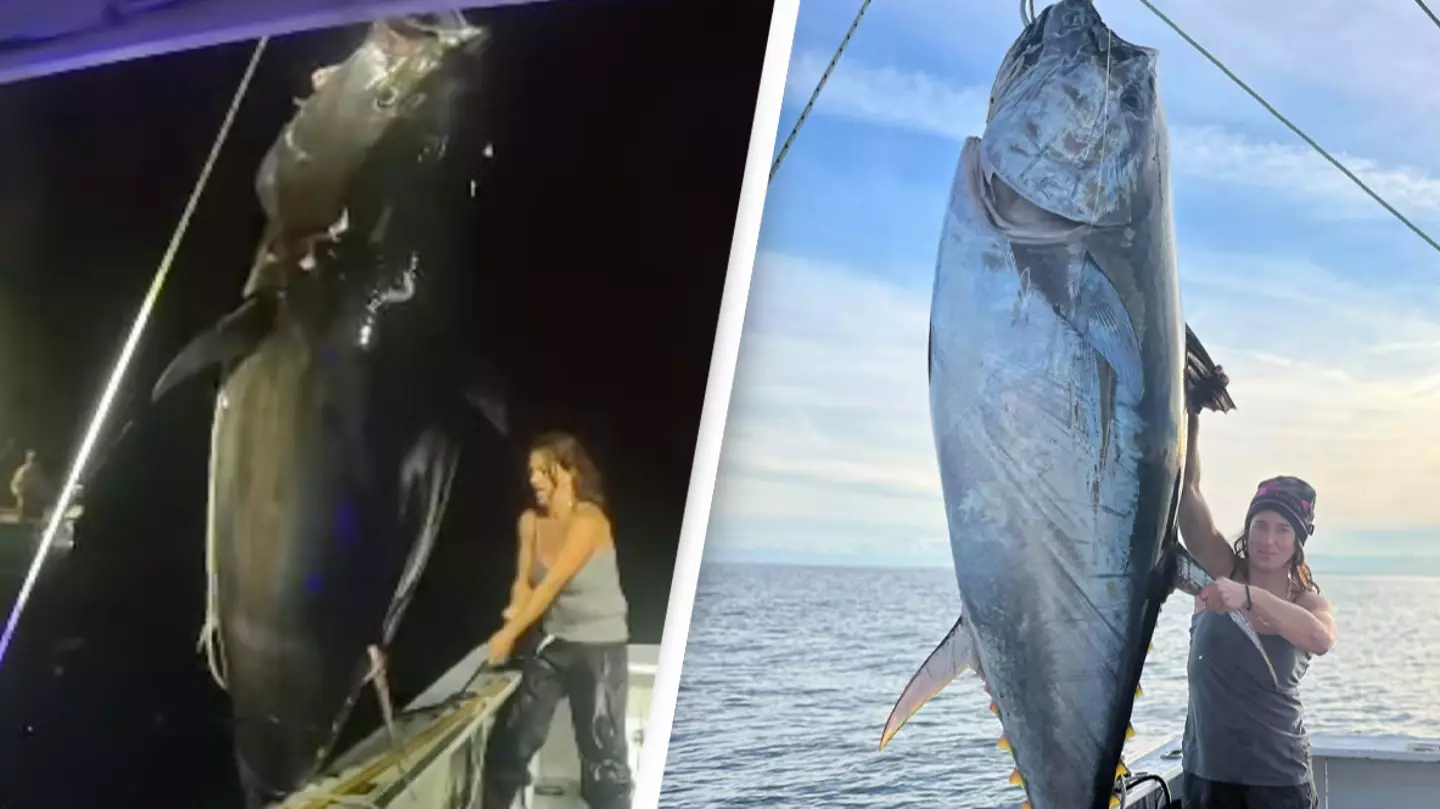People horrified after seeing how big a tuna fish actually is