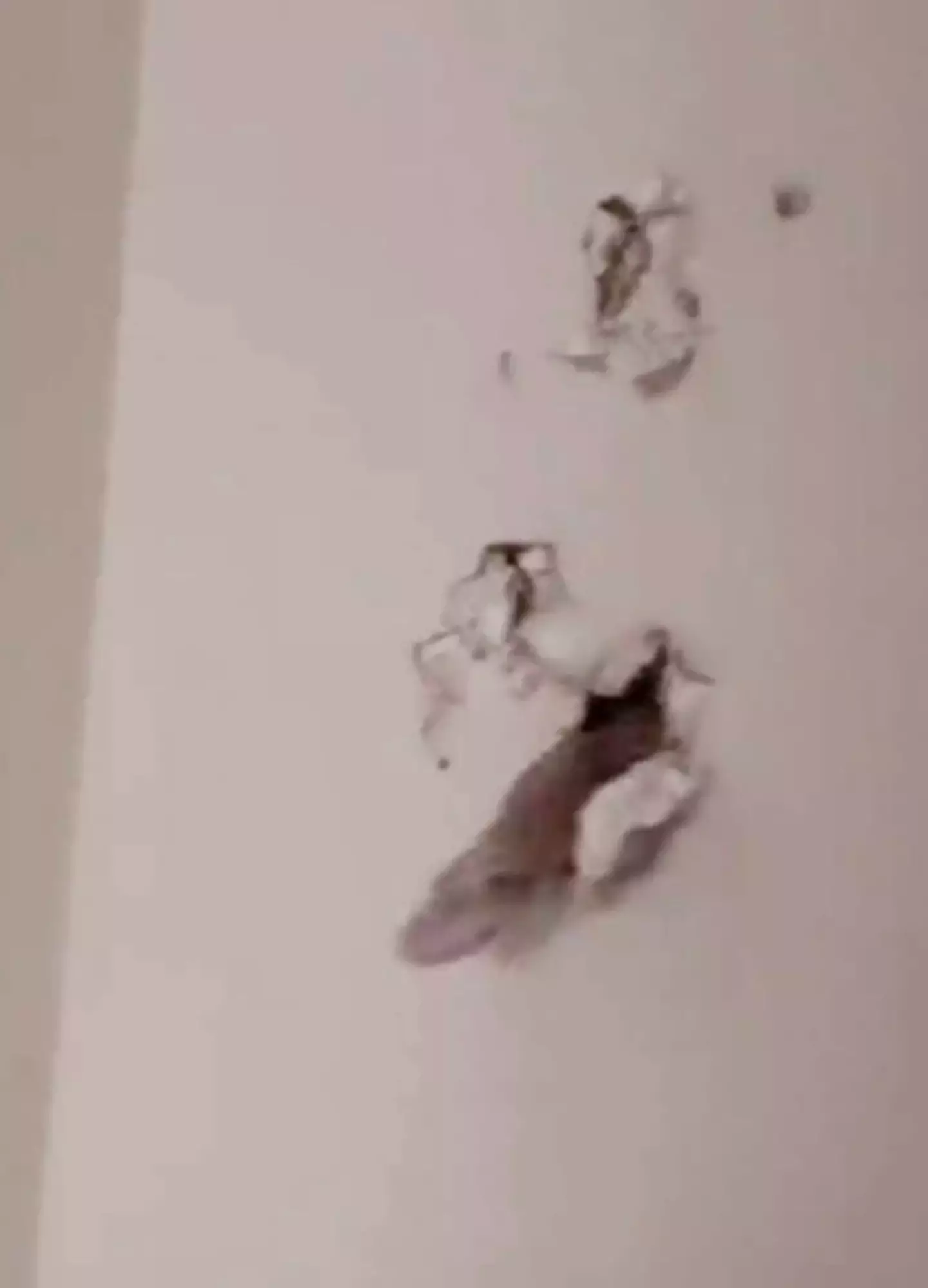 The men thought there was paranormal activity. (TikTok /@elportu)