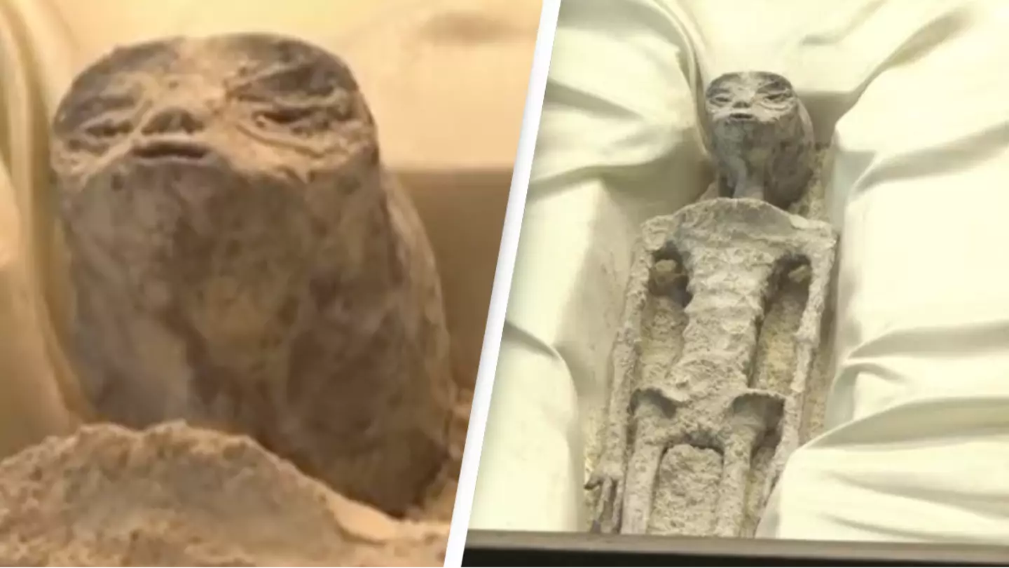'Alien corpses' unveiled by scientists in hearing displaying 'proof' of extraterrestrial life