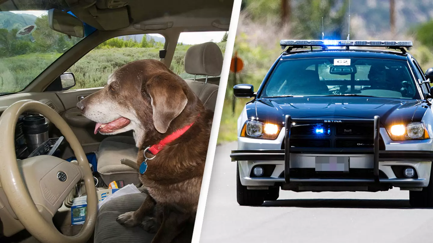 William Mullins / Alamy Stock Photo. H. Mark Weidman Photography / Alamy Stock Photo