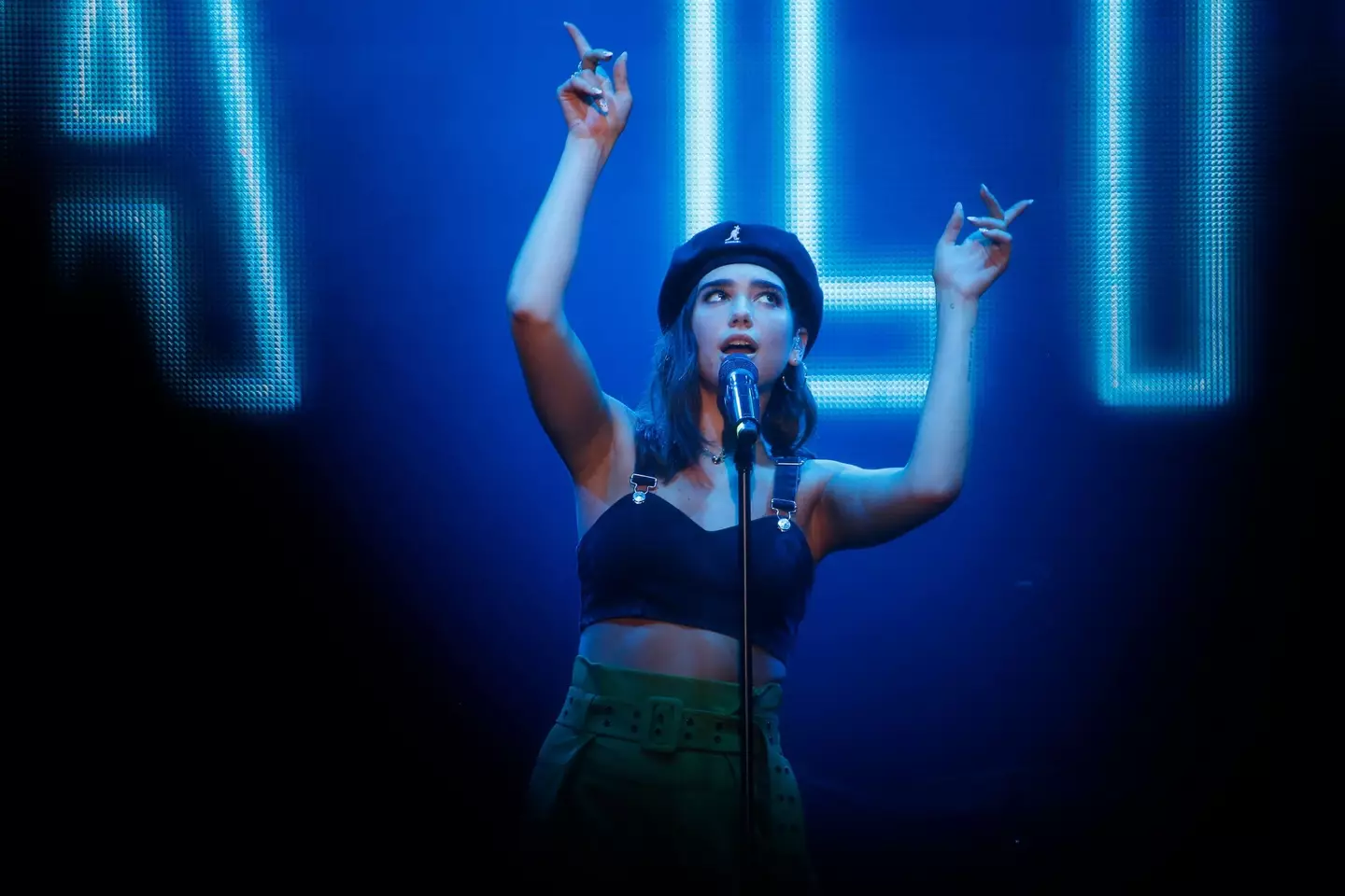 Dua Lipa was also sued by Barbera.