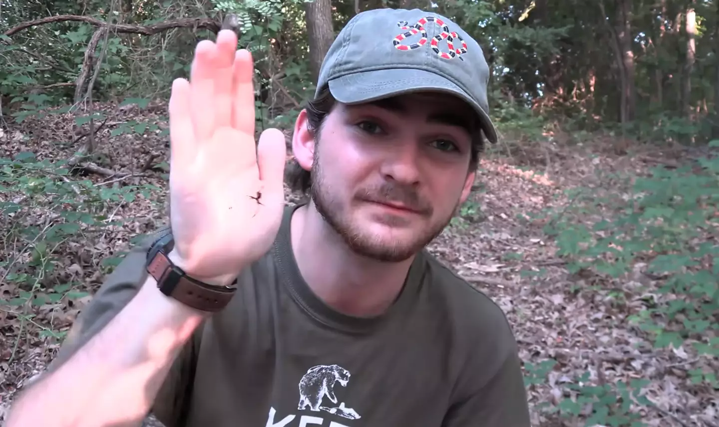 YouTuber Jack Schonhoff was bitten by a black widow spider.