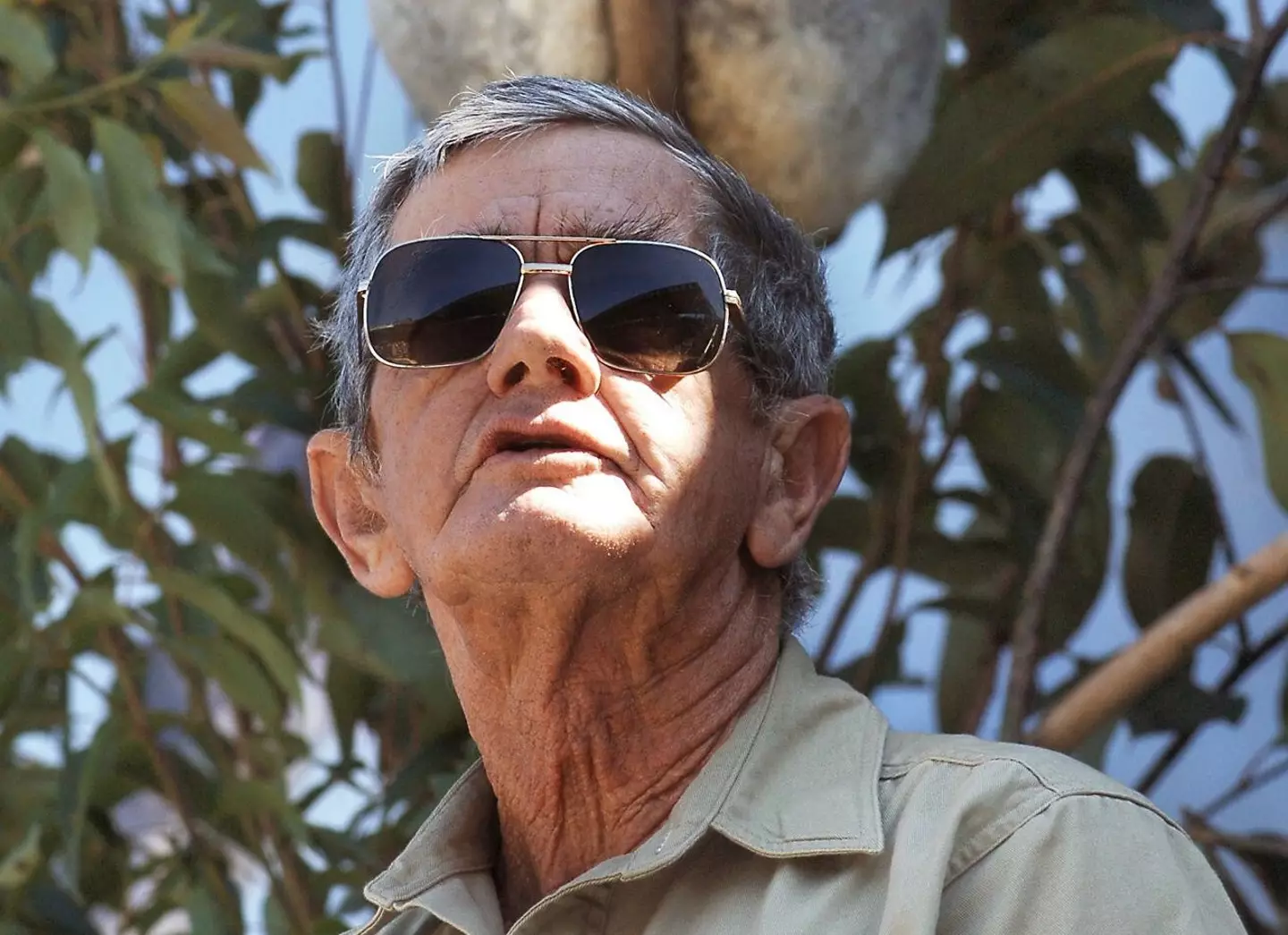 Bob Irwin, father of Steve Irwin, called for more protection for crocodiles.