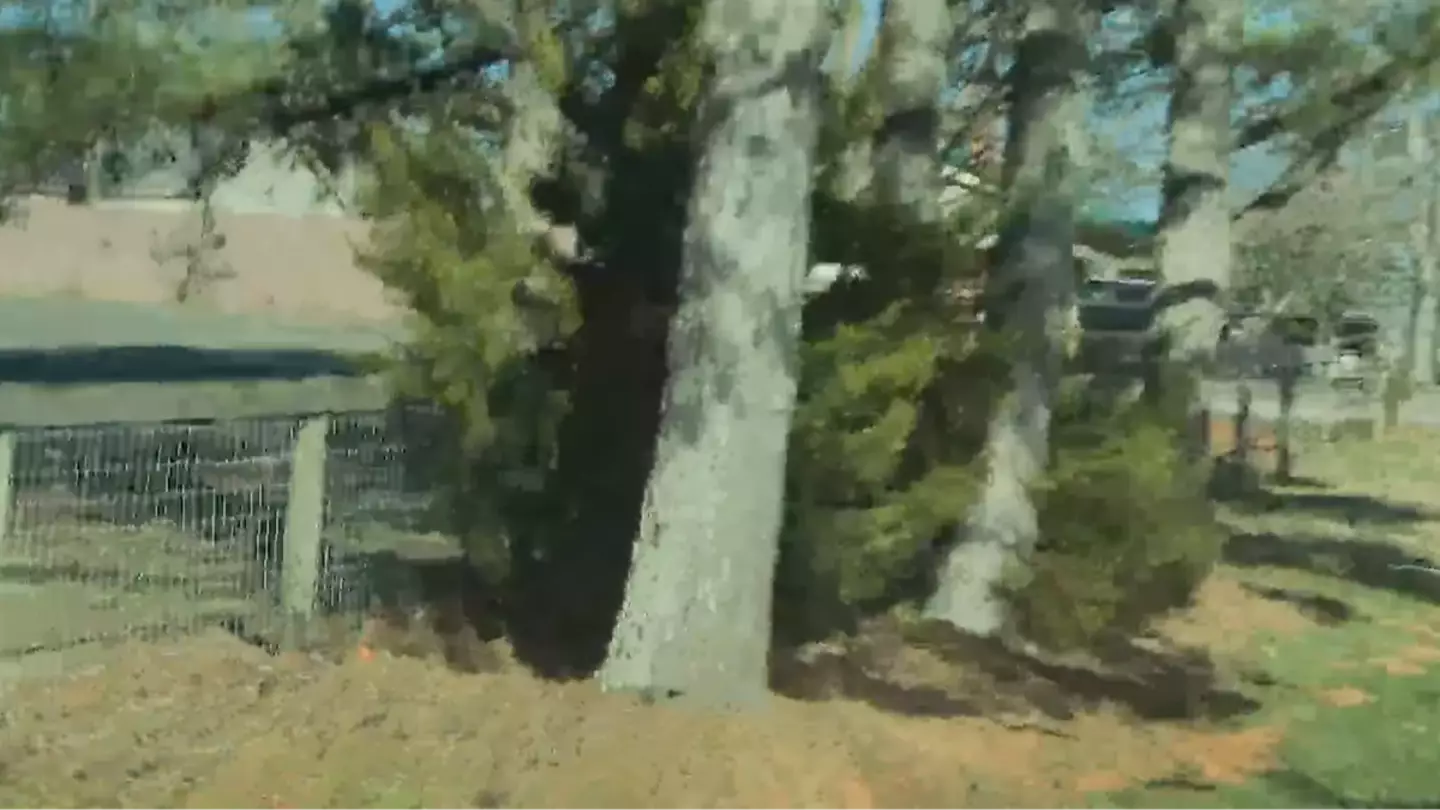 Horrifying dashcam footage shows moment self-driving Tesla suddenly veers off road and crashes