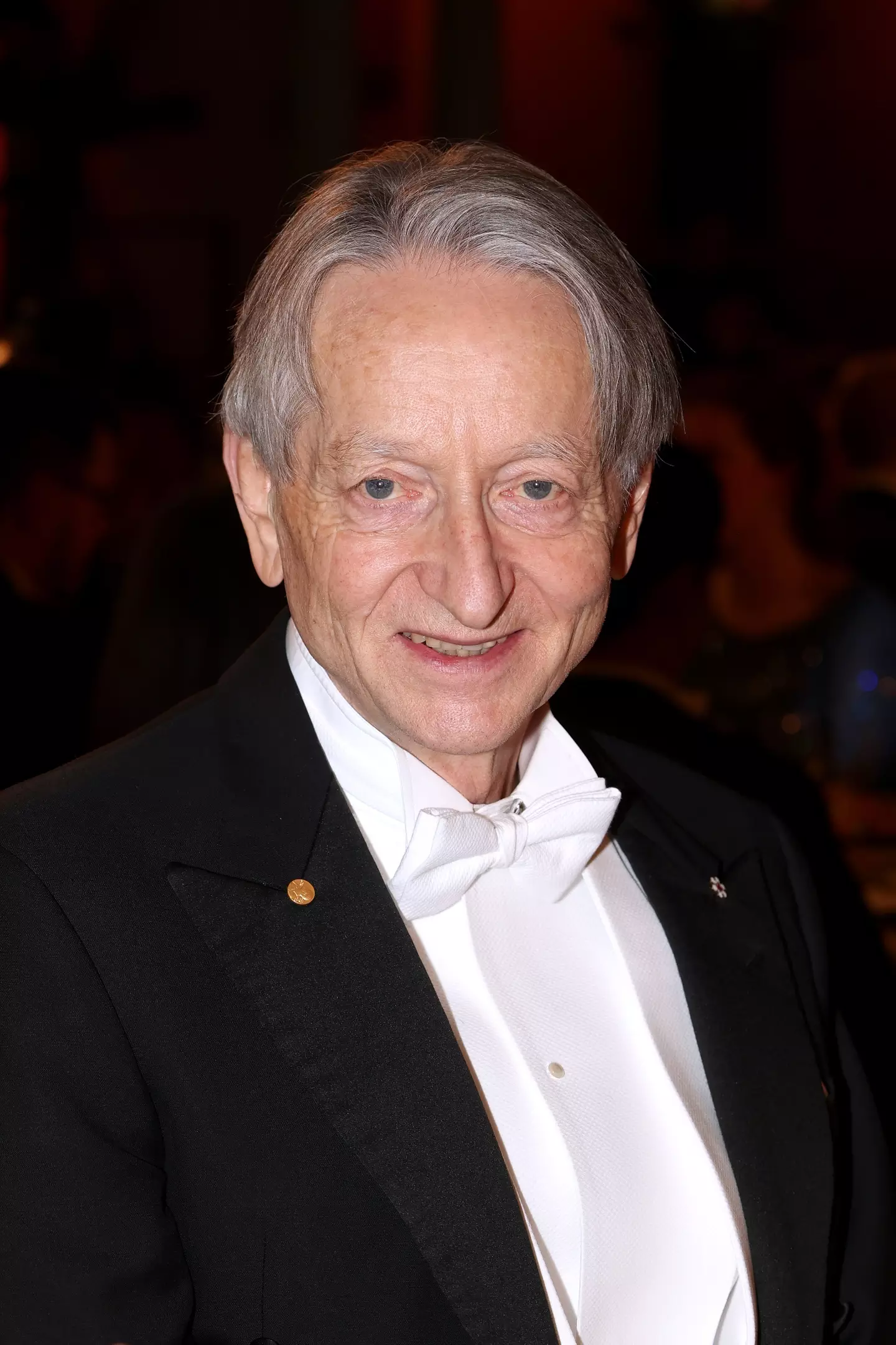 Geoffrey Hinton has expressed his concerns regarding the future of AI (Pascal Le Segretain/Getty Images)