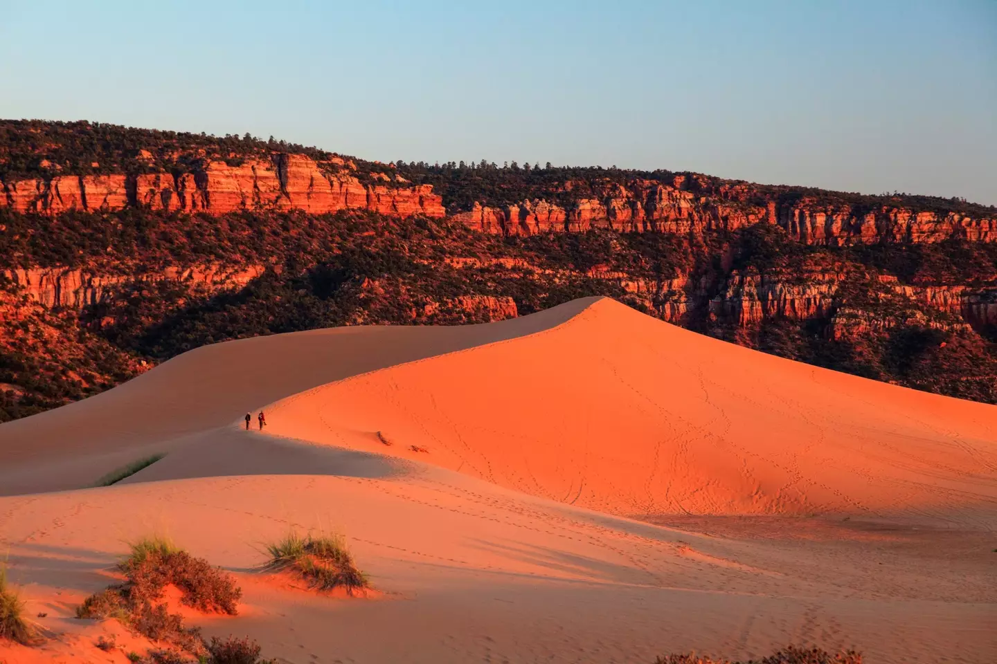 Coral Pink Sand Dunes State Park.