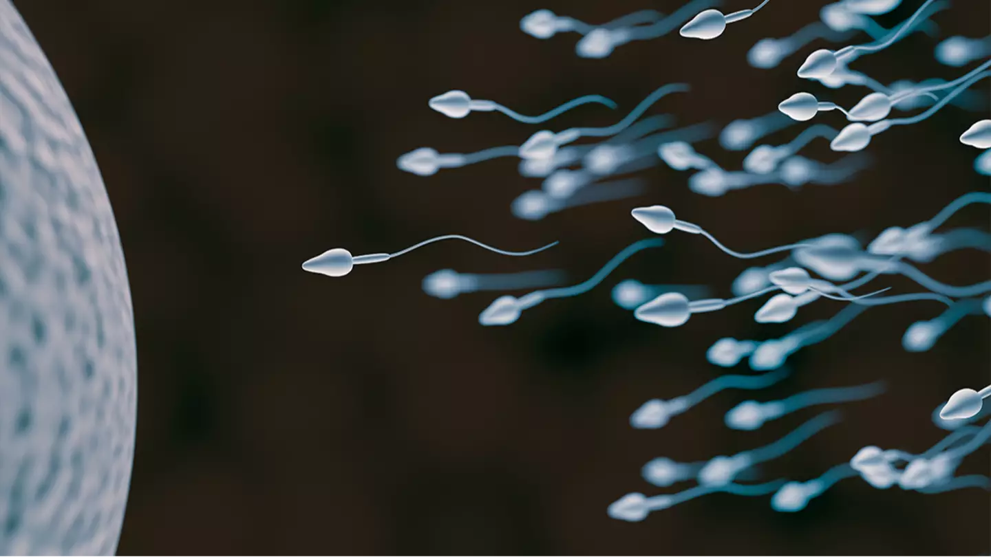 Scientists make shocking discovery that could prove men’s sperm ‘go bad’ as they age