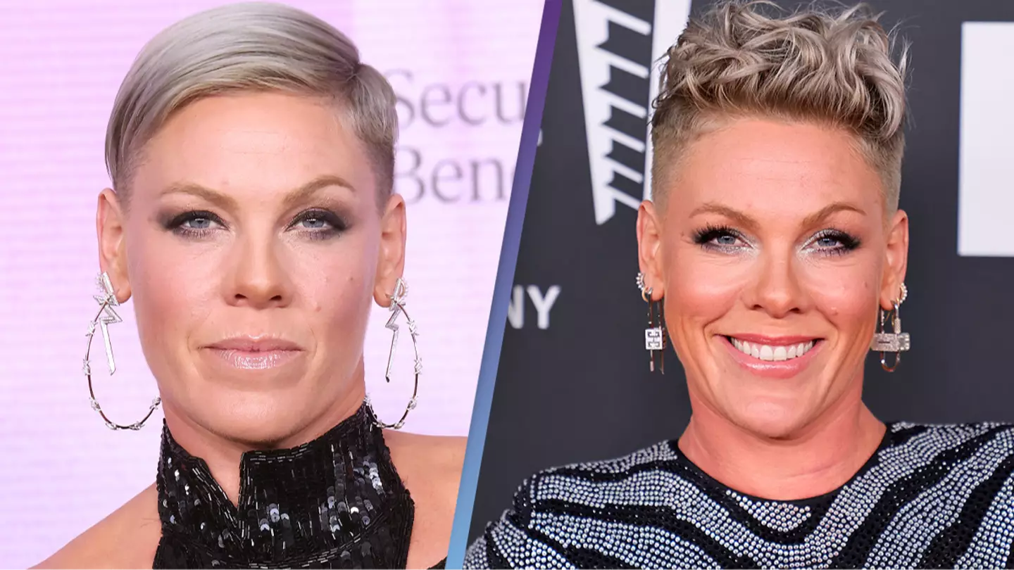 Pink expertly hit back at troll who said she looked 'old'