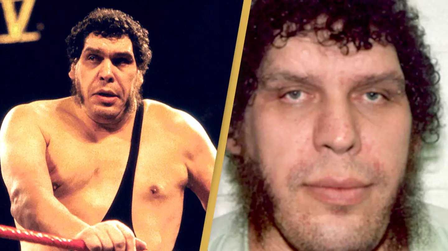 Andre The Giant did 'biggest poo' on plane it left passengers unable to breathe
