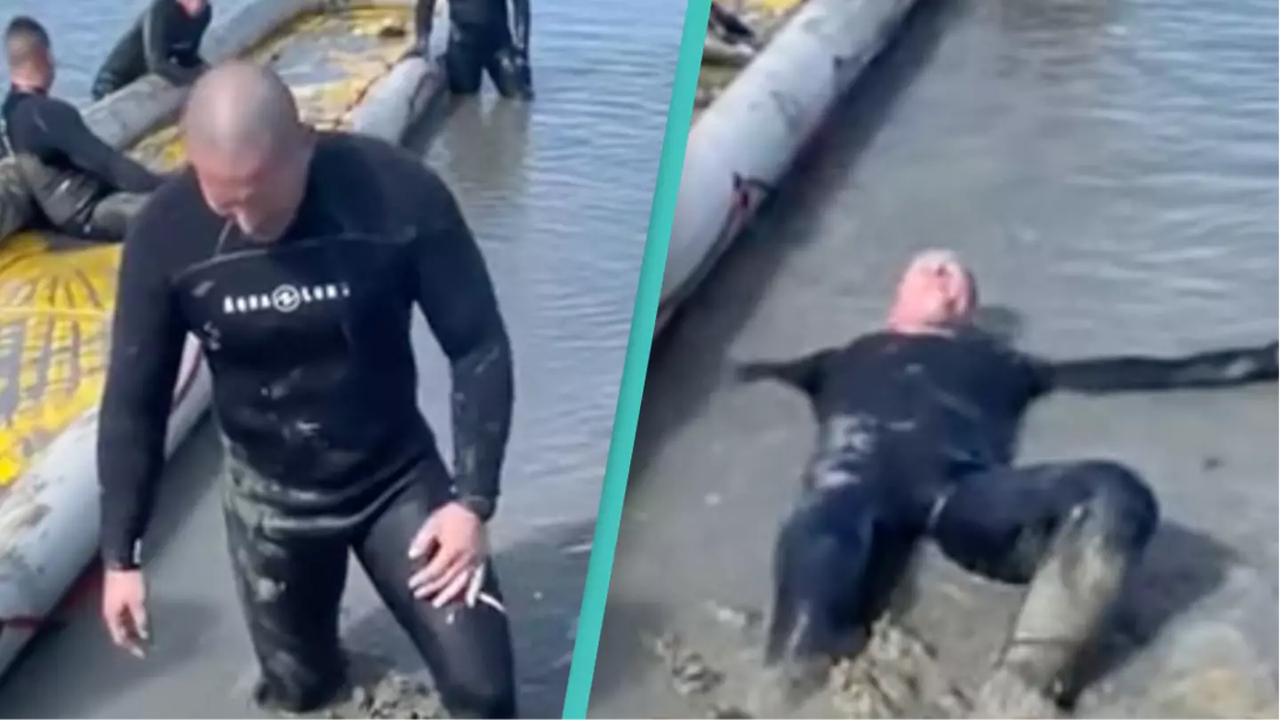 u/cashmere1977-2/Reddit