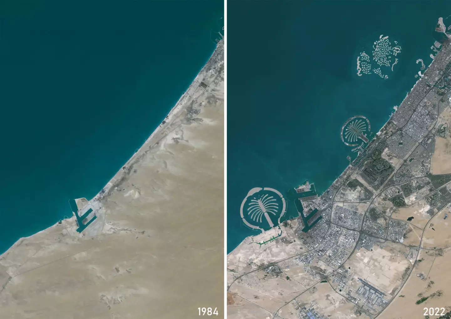Color satellite image of Dubai in 1984 and 2022 (Planet Observer/Universal Images Group via Getty Images)