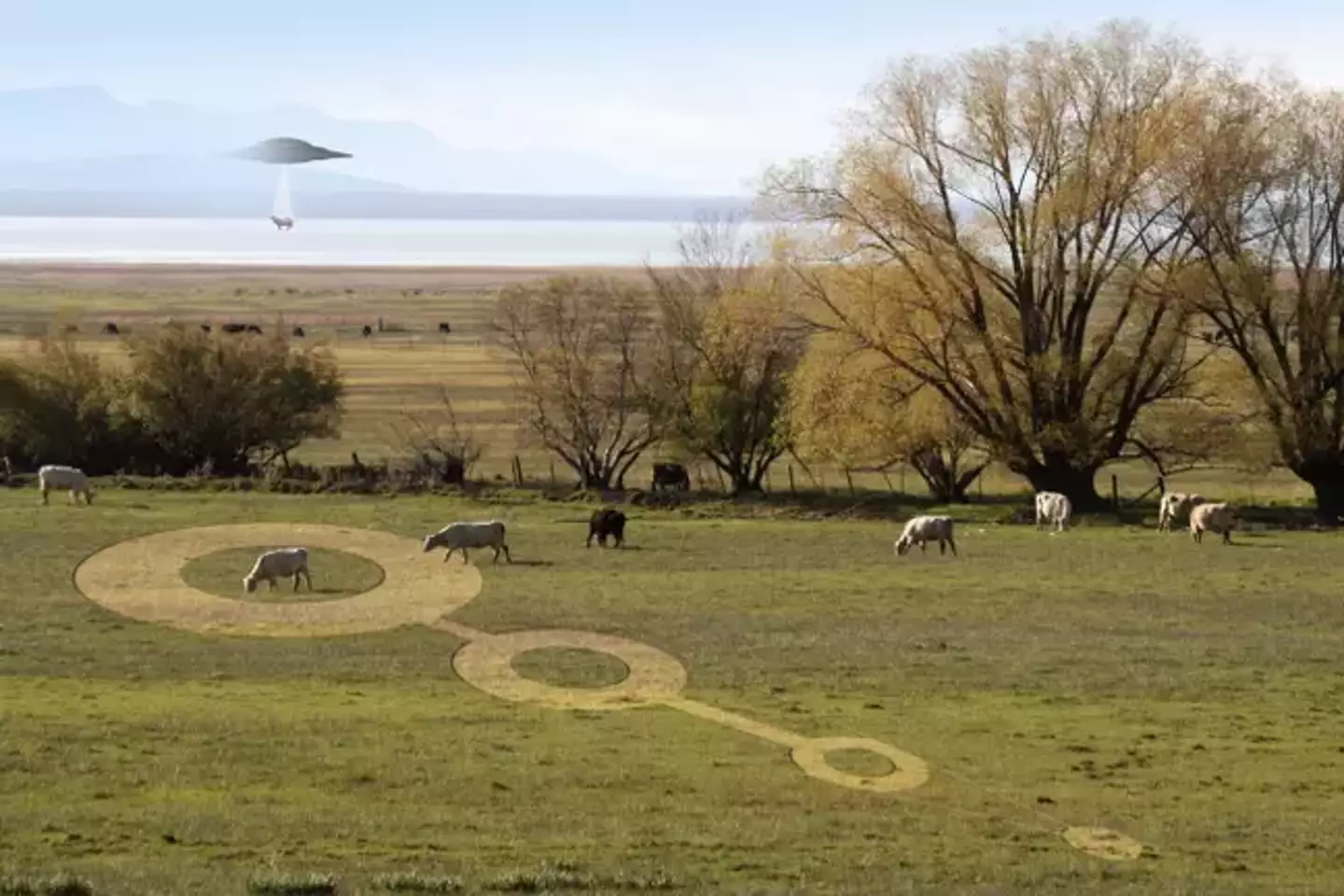 Cattle rustling and crop circles in the US? Nah, flying saucers were all about Italy.