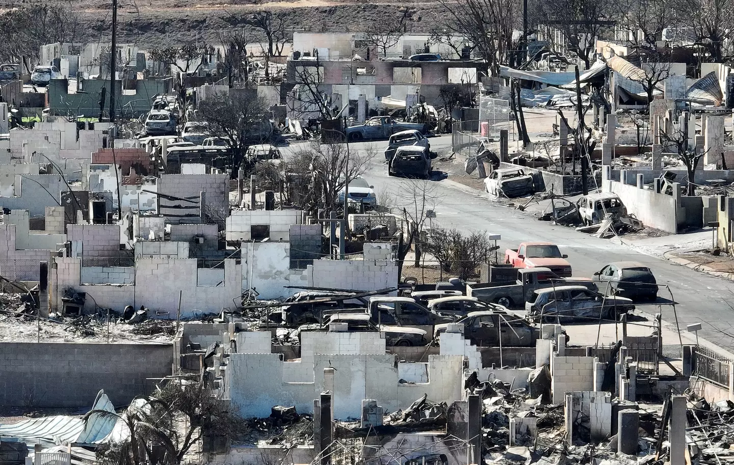 Scenes of devastation following the wildfires.