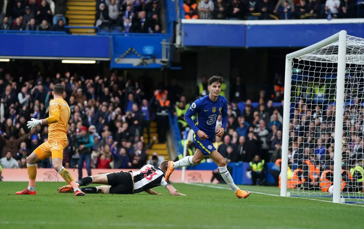 Fans were in attendance to see Chelsea beat Newcastle United at the weekend. Image: PA Images