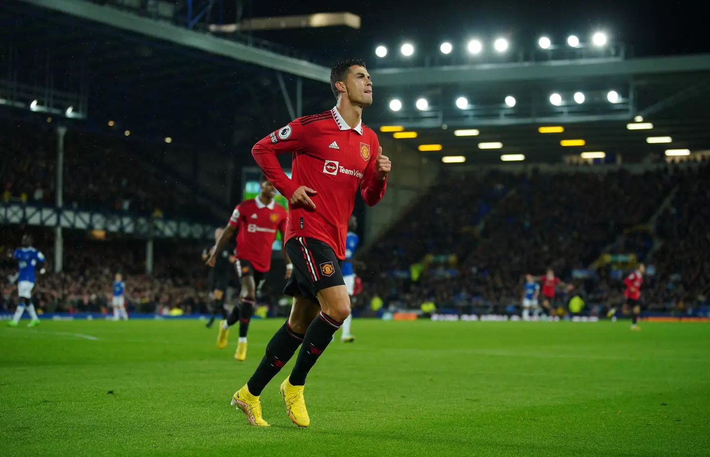 Ronaldo's one league game this season came against Everton. Image: Alamy