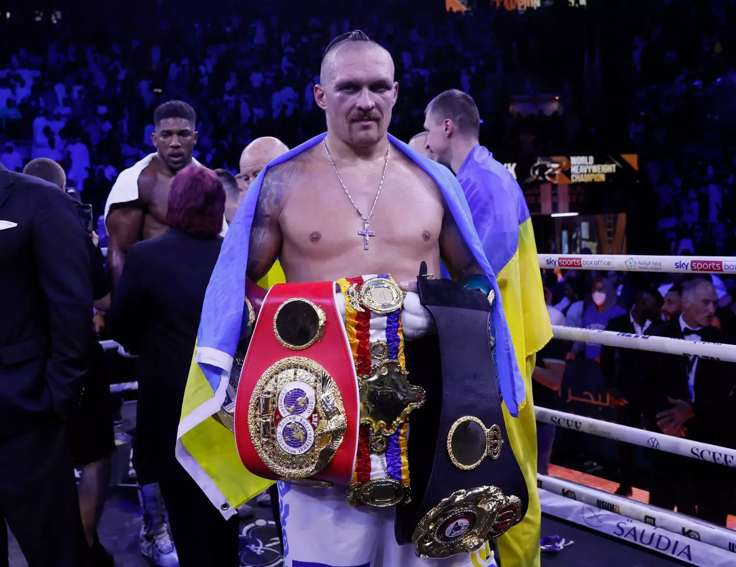 He holds three of the four major heavyweight titles (Image: Alamy)