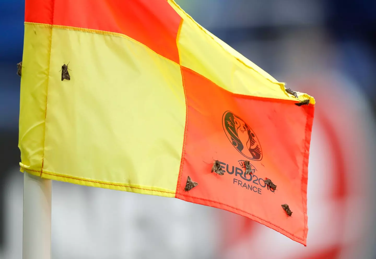 Mathias claimed the witch doctor was responsible for the invasion of moths during the Euro 2016 final (Image: Alamy)