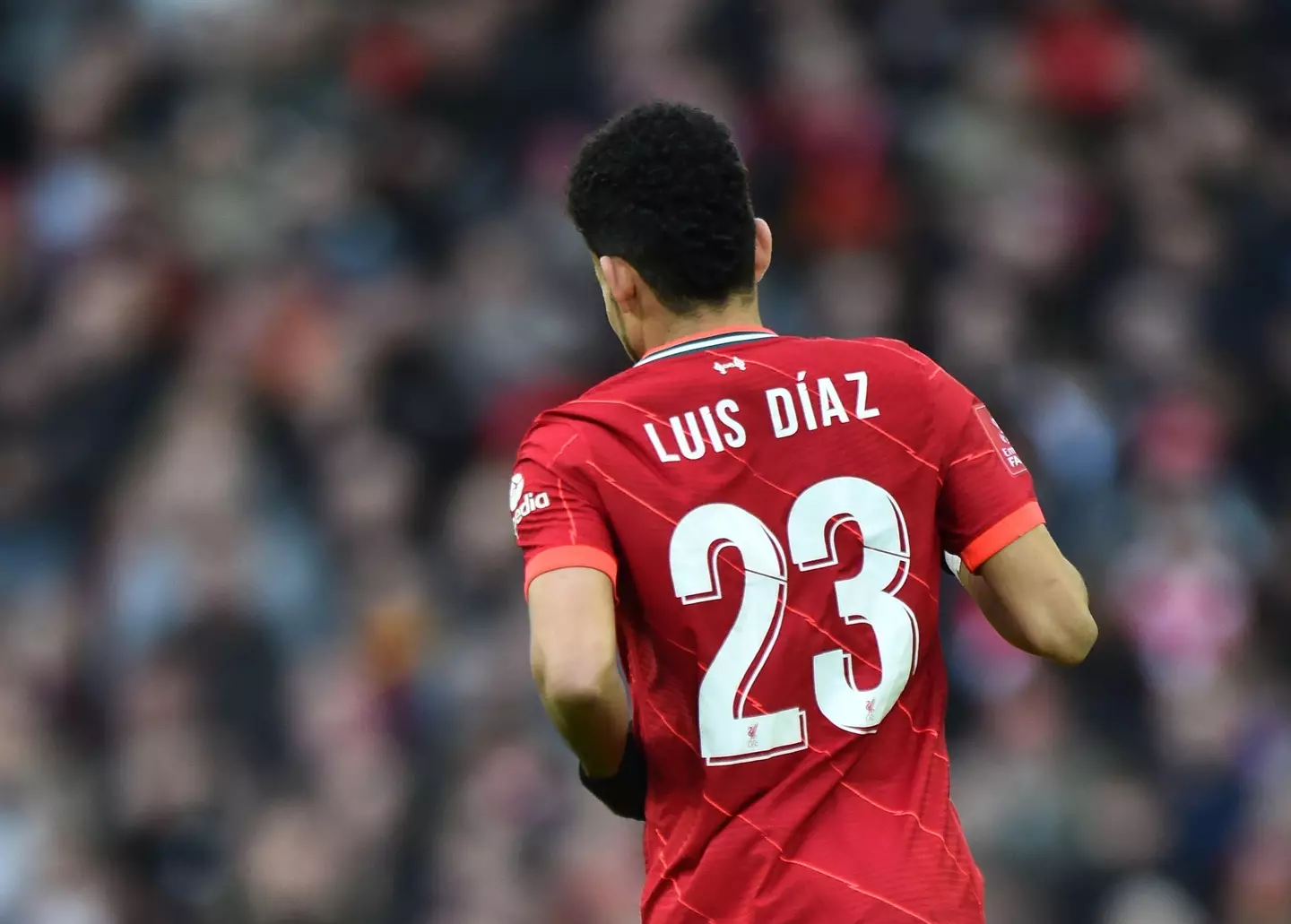 Diaz helped set up a goal on his debut for Liverpool (Image: Alamy)