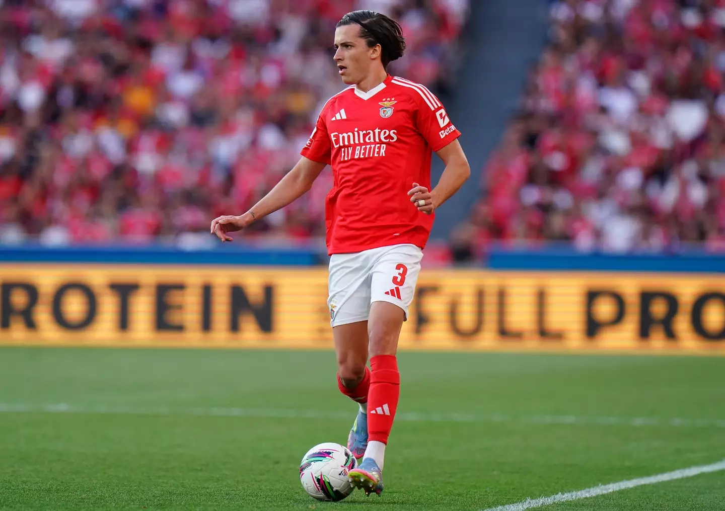 Alvaro Carreras has been in fine form for Benfica after leaving Man United. Image: Getty