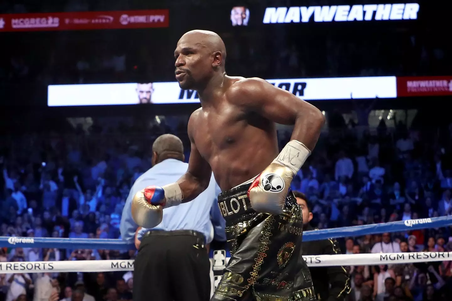 Mayweather believes he is owed $340 million. Image: Getty