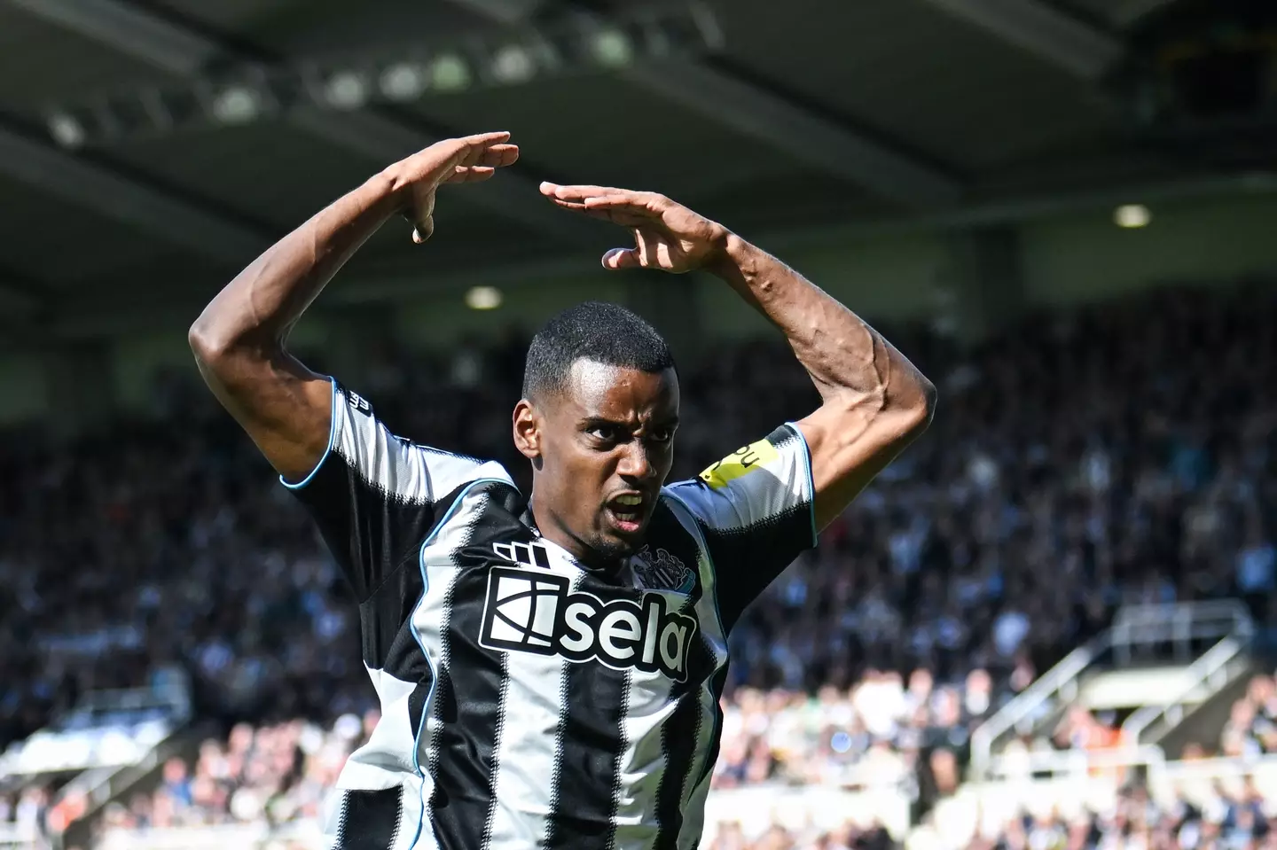 Alexander Isak has been linked with a move away from Newcastle United. Image: Getty