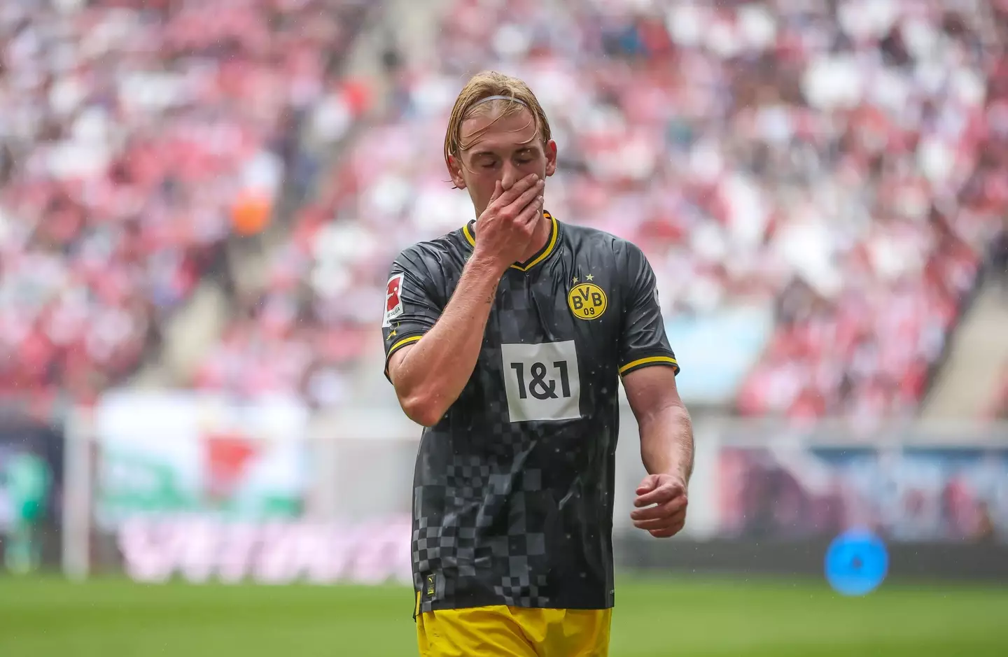 Borussia Dortmund's Julian Brandt. (dpa picture alliance / Alamy)