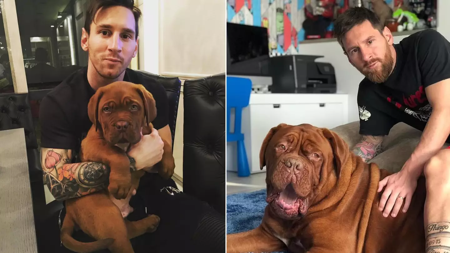 Why only one of Lionel Messi's dogs came with him to Miami