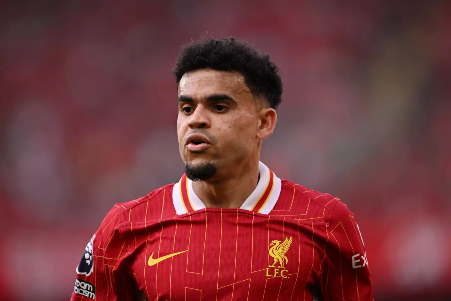 Luis Diaz signed for Liverpool in January 2022. Image: Getty