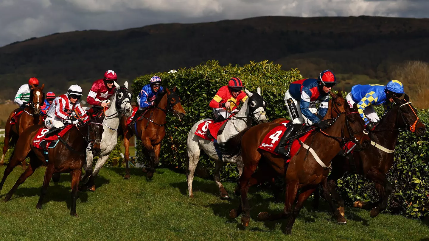 Cheltenham punter 'feels sick' after missing out on life-changing amount of money because of one horse on acca