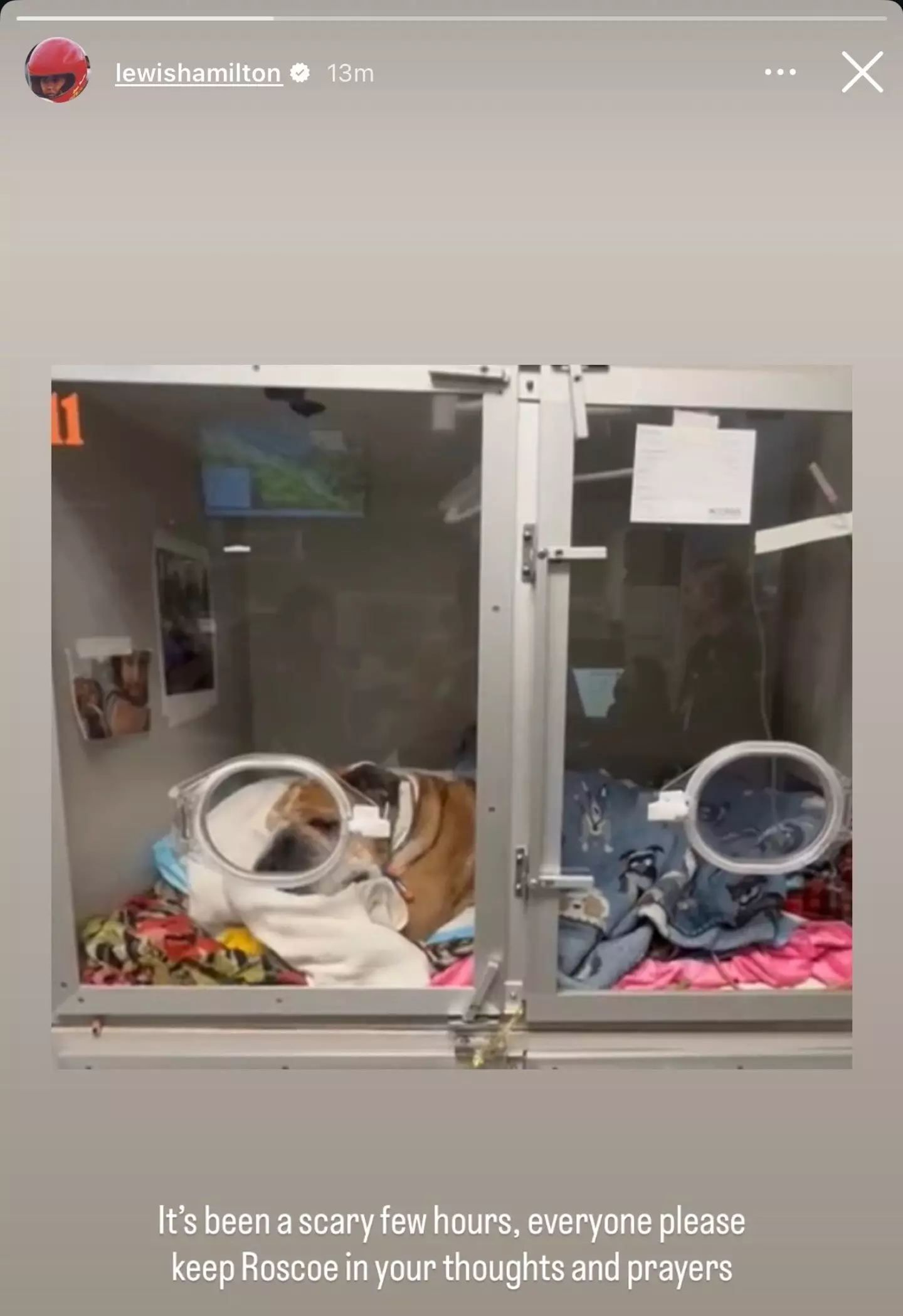 Image: X/@lewishamilton