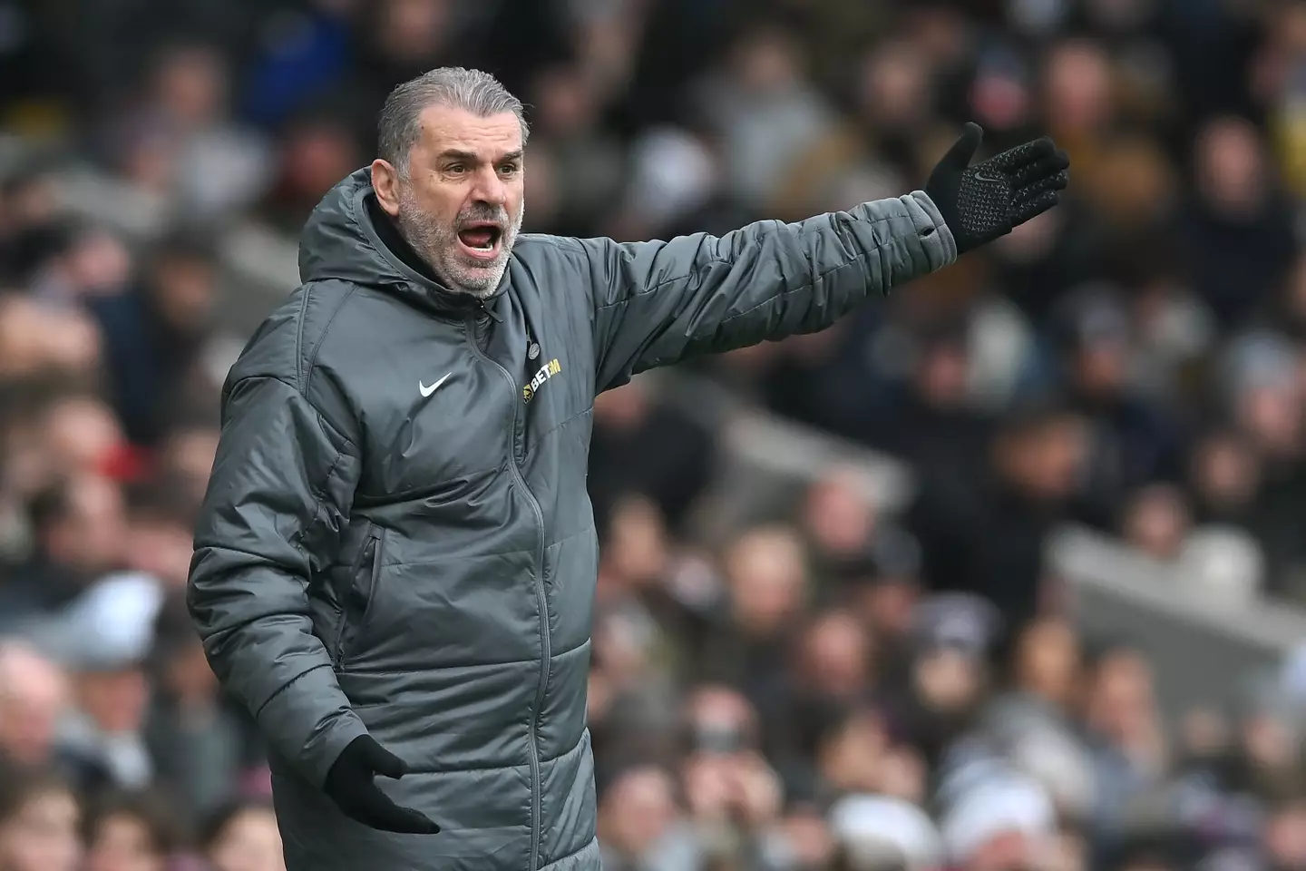 Ange Postecoglou is under increasing pressure at Tottenham Hotspur. Image: Getty